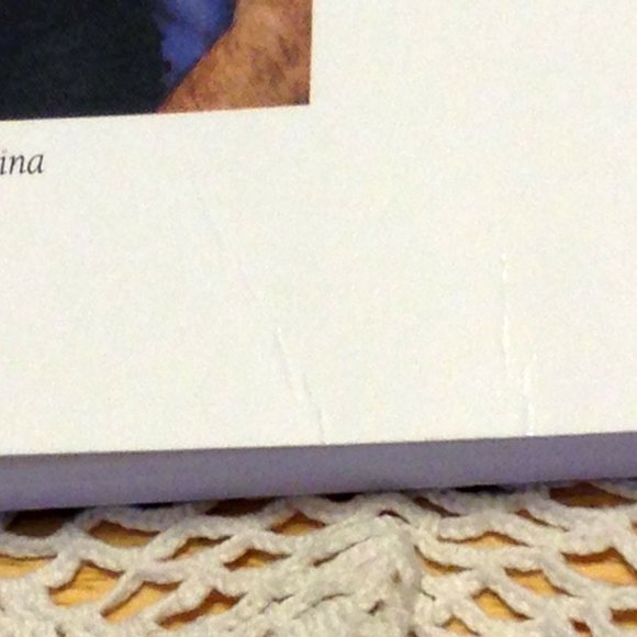 3 for $10 book sale! Surrogacy Pitfalls , True Story,  Surrogacy or Conspiracy? - Picture 7 of 7